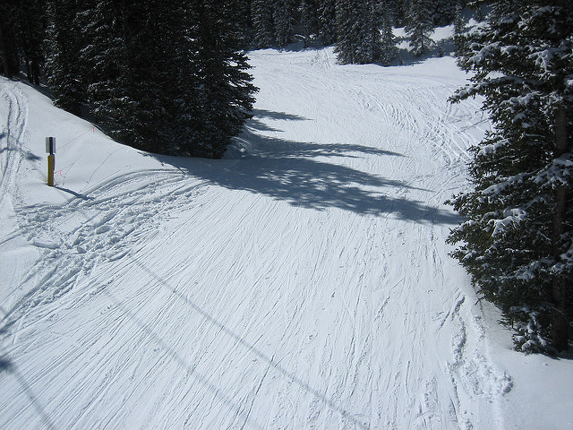 湯殿山スキー場は初心者も上級者も楽しめる 広大なコースは必見 スキー スノーボード情報メディア Grab グラブ