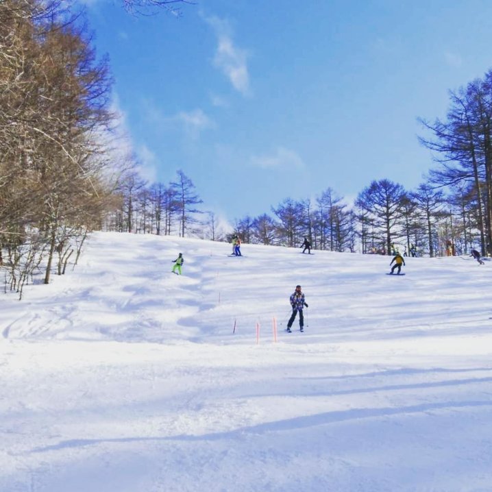 スキー 場 エーデルワイス