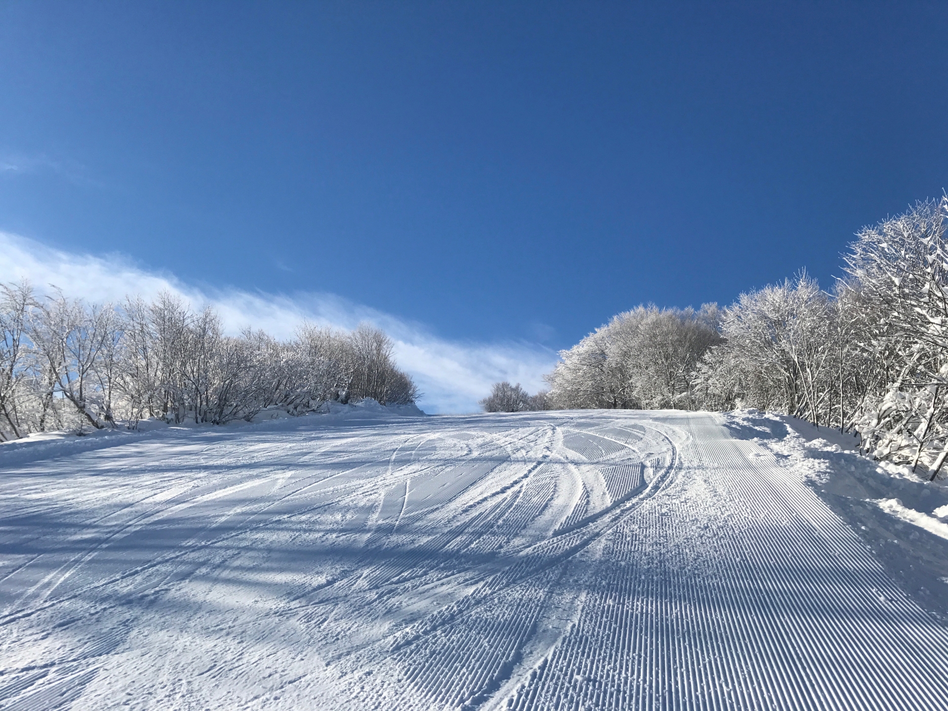 利便性の高い岐阜の人気スキー場情報 Xadventure